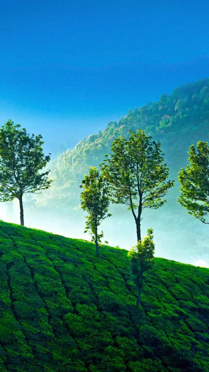 PM Modi launches development projects, flags off new train services in Kerala