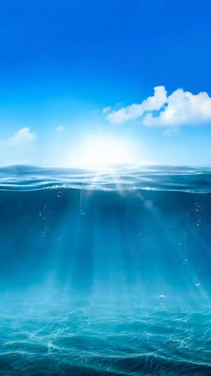A Closer Scientific Look At Ocean Heat Beyond Air Records Through July's Record Global Sea Heat