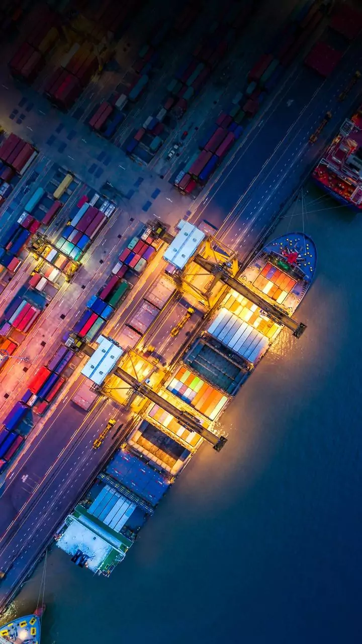 Vizhinjam Int'l Seaport working to bring home Indian cargo handled abroad: AVPPL official