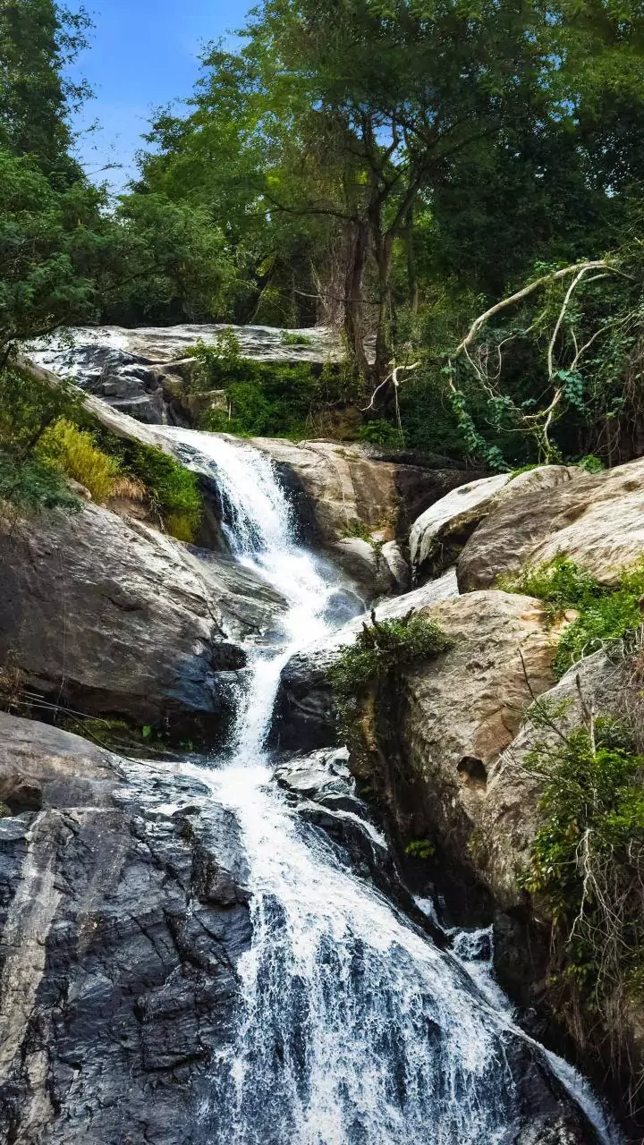 Fresh Showers Transform Maharashtra Landscapes Into Waterfall Travel Spots