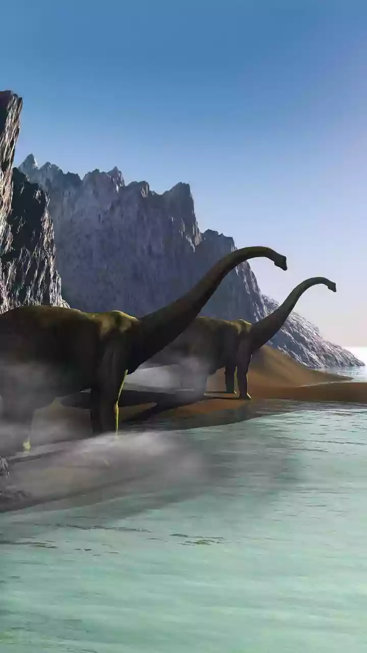 The Science Behind The New Tiny-Dinosaur Study: Early Mammals In Small Ecological Niches