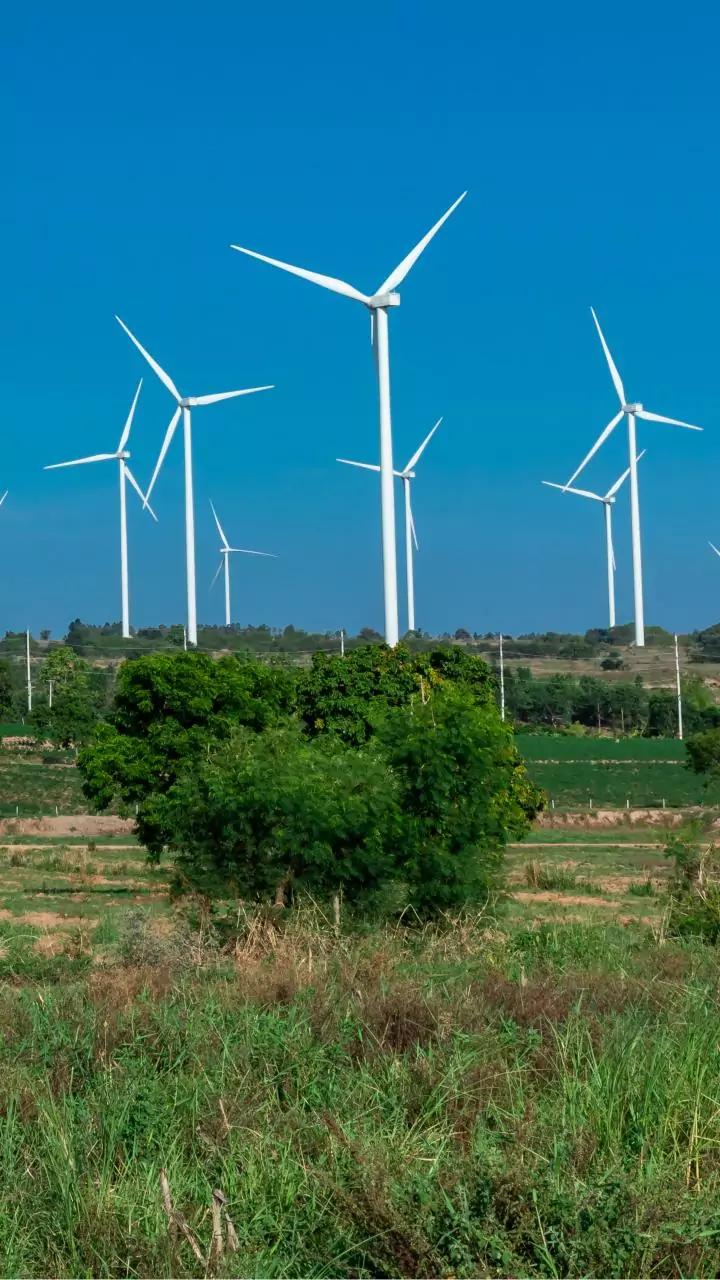 Climate action core to India's dev strategy, global north dithering on their commitments: Eco Survey