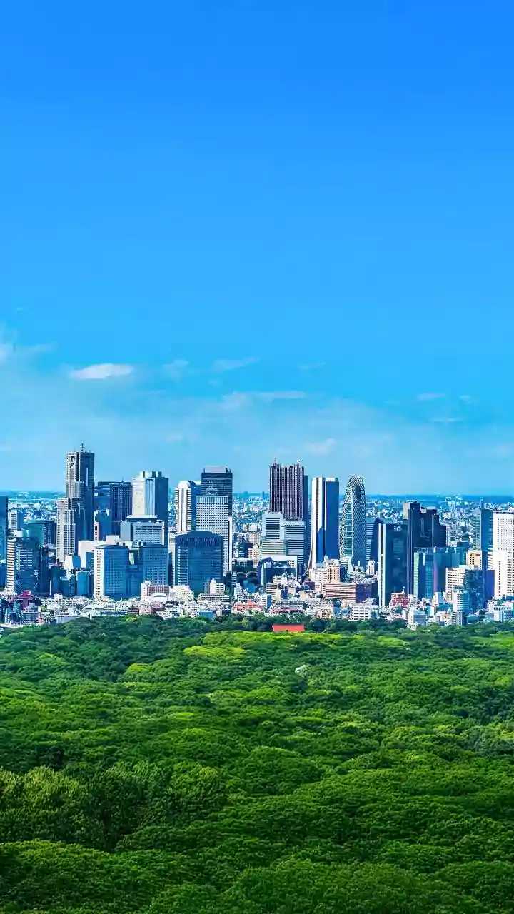 AI's Carbon Footprint: Millions of Tons of CO₂ on the Horizon