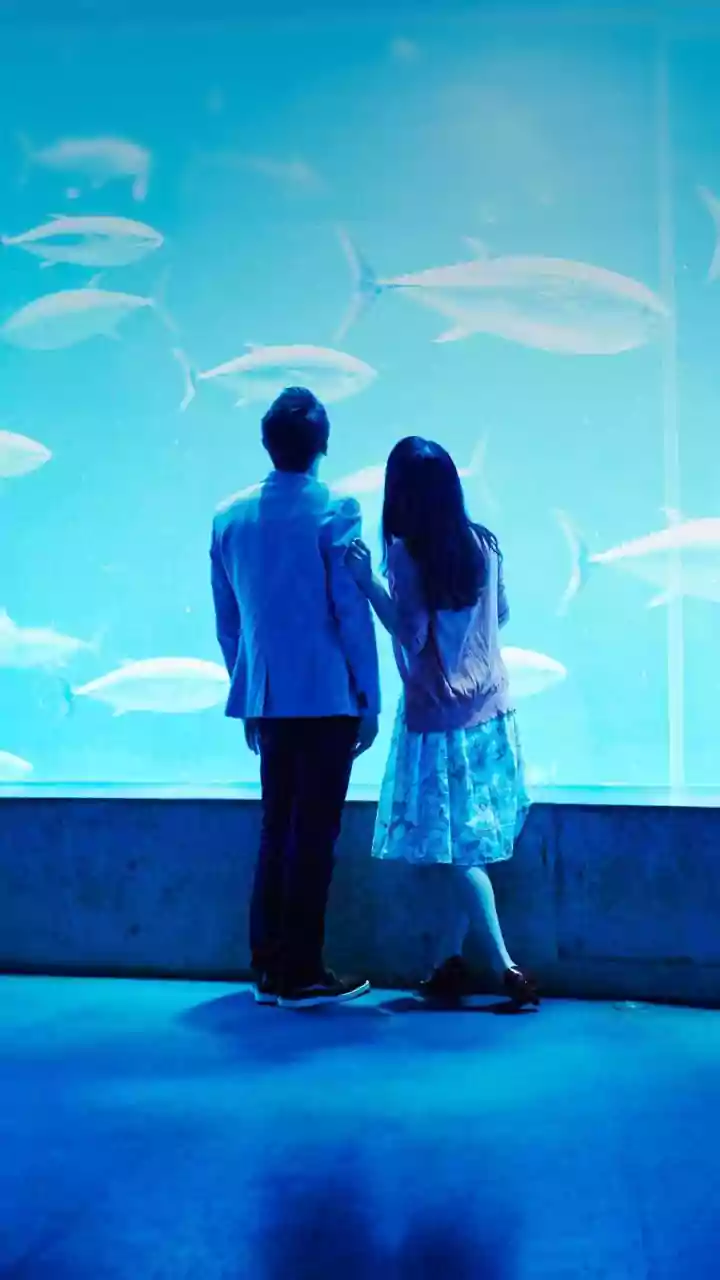 Cultural Clashes in Love: Bridging the Gap in Relationships