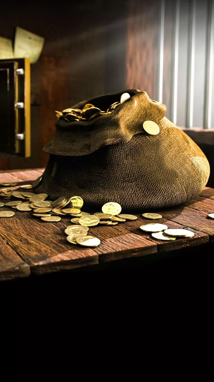 Ponzi scam crackdown: ED attaches assets worth Rs 17.91 crore in Meghalaya