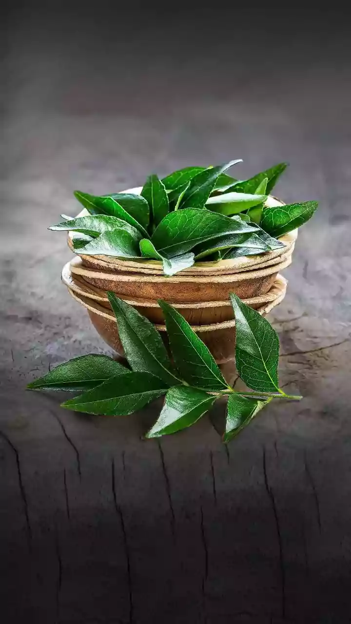 Growing Curry Leaves And Mint At Home Is Becoming A Practical Hobby For Apartment Gardeners
