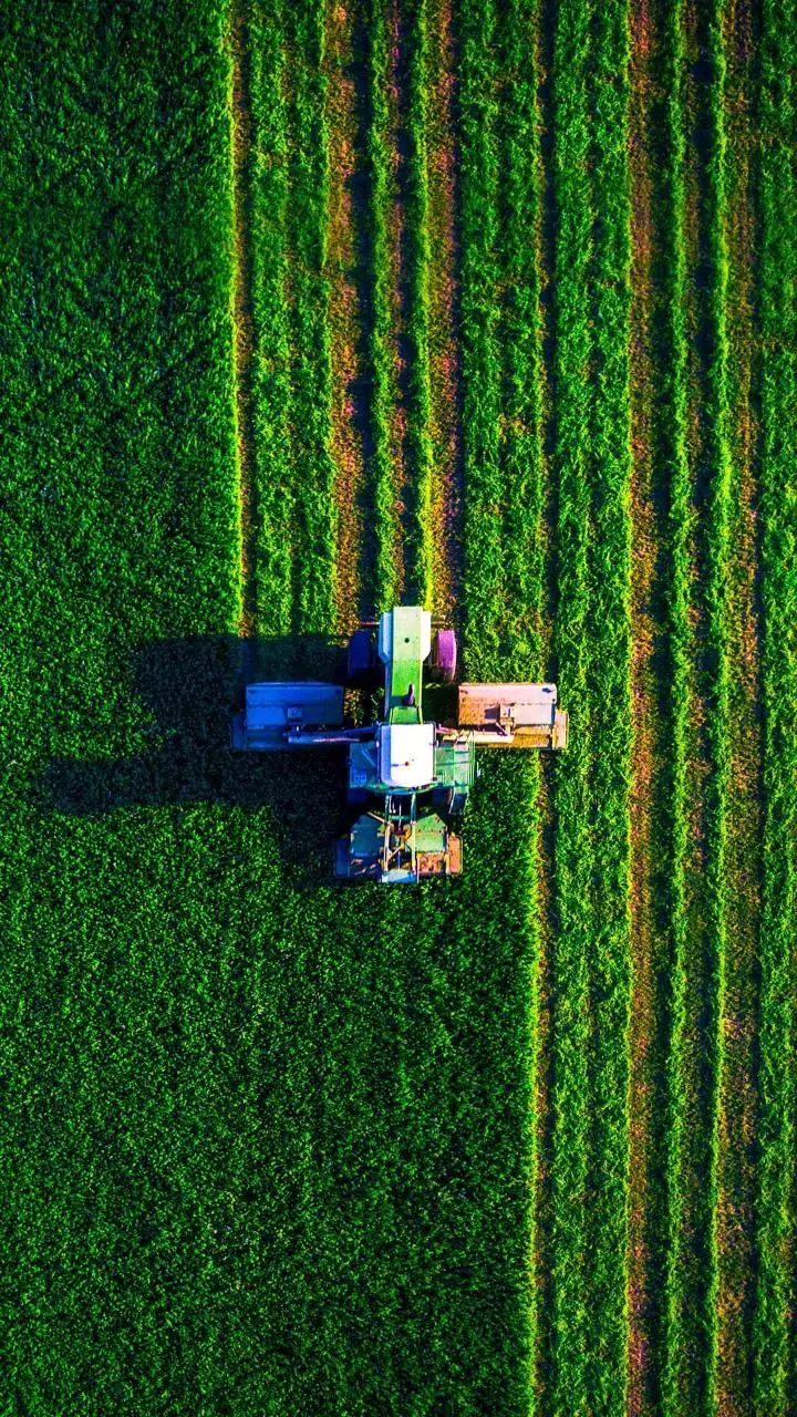 Punjab's Farm Stay Policy 2026: Unlocking Rural Tourism and Farmer Income
