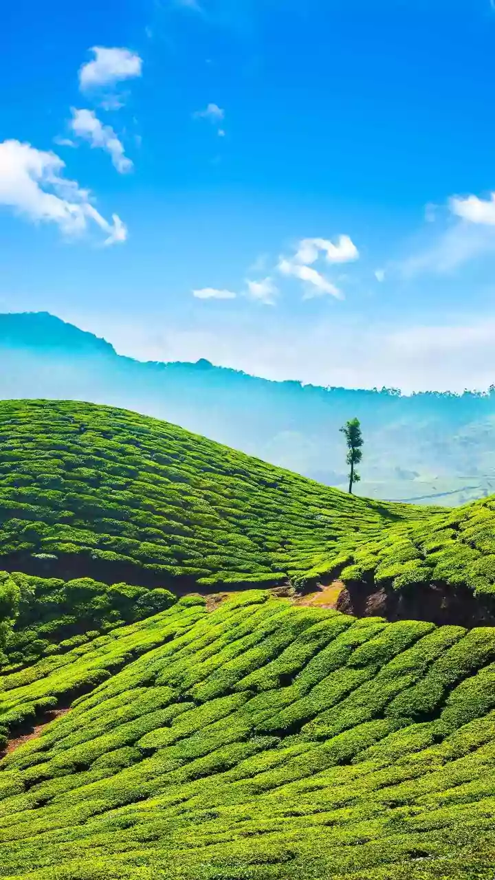 Escape the Heat: India's Top 6 Hill Stations for Your 2026 Summer Getaway