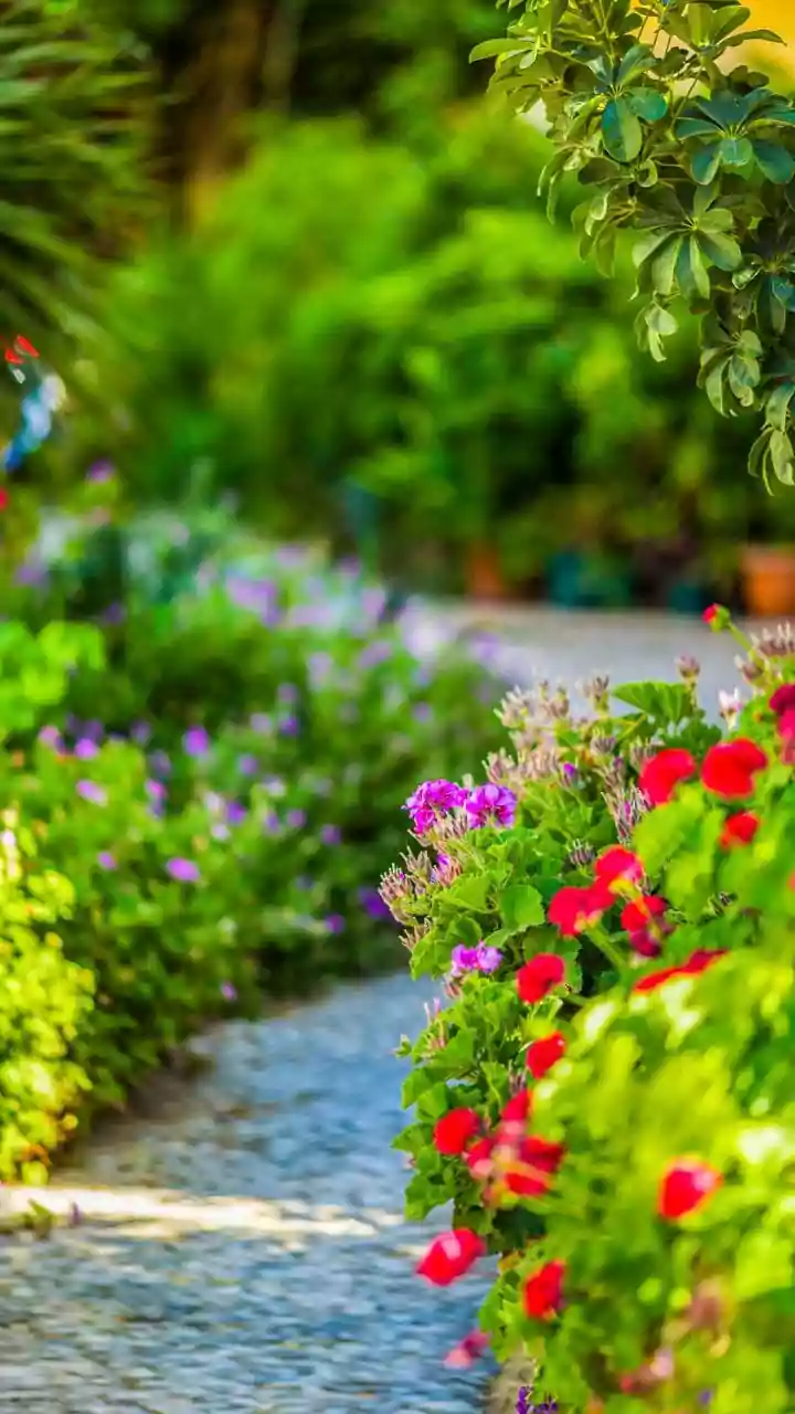 Unveiling the Secrets: Do Plants React to Music?