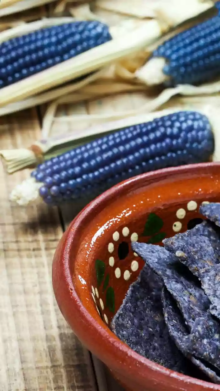 How to use blue corn in cooking