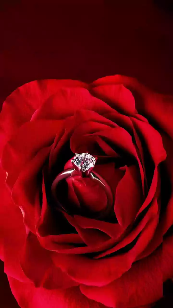 Propose Day 2026: Embracing Courage and Sincere Love Confessions