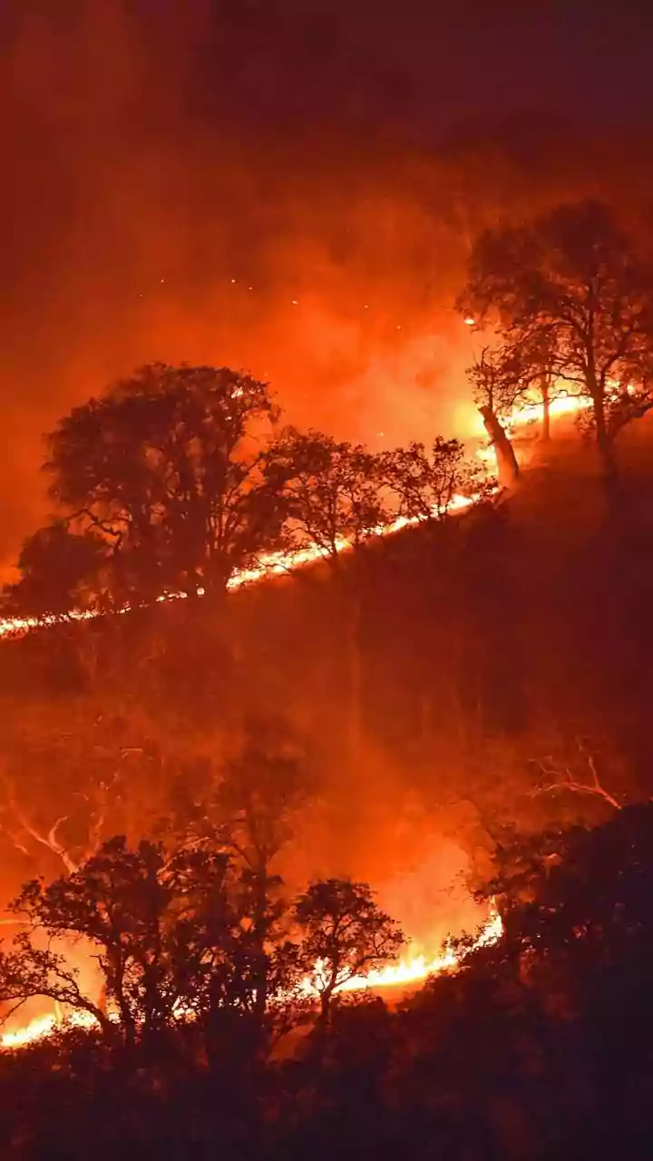 Forest fires ravage Uttarakhand; flames spread across Kedarnath, Nainital hills