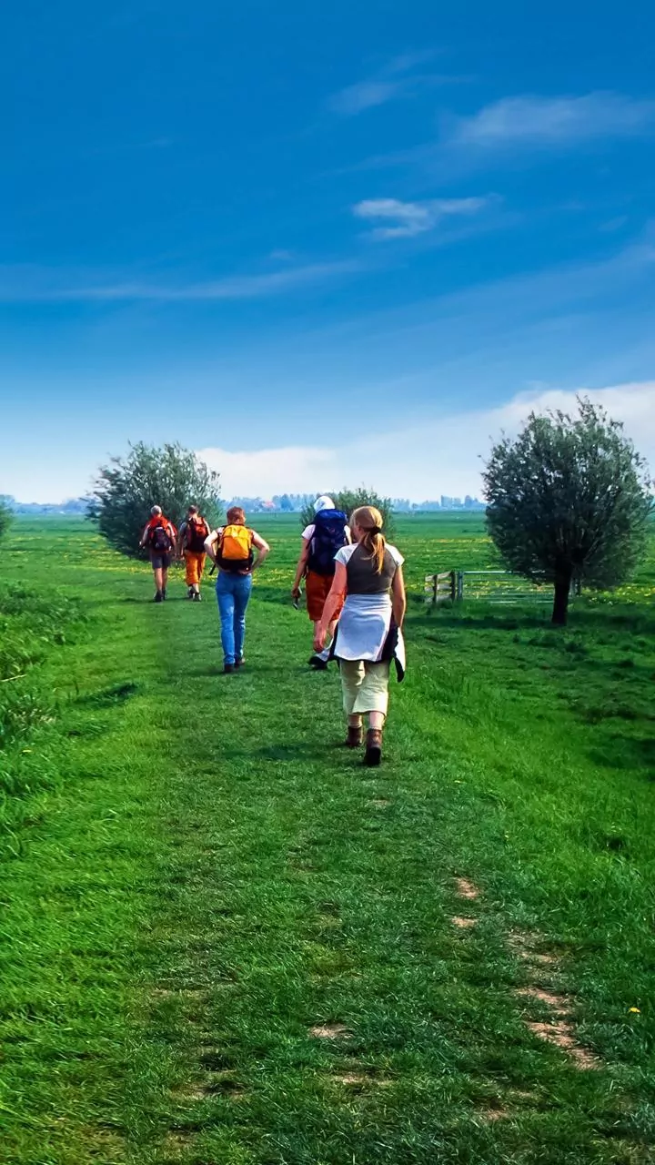Walking Clubs Are The New Weekend Plan