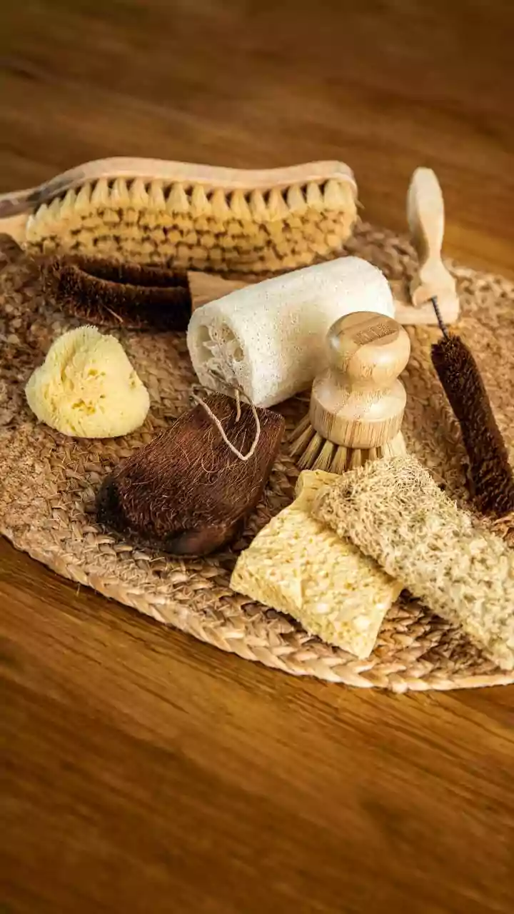 Coconut Shells Need Drying before They Become Planters