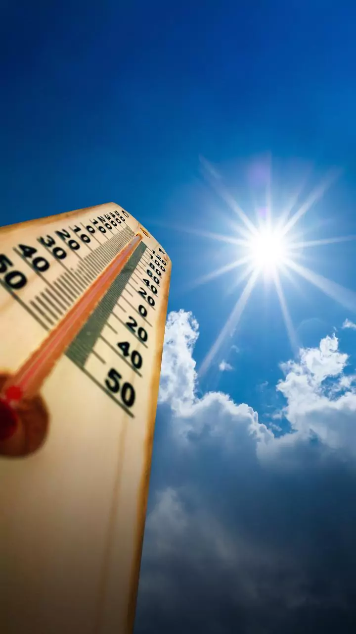 Mercury to remain below normal by 2-3 notches across Bengal: IMD