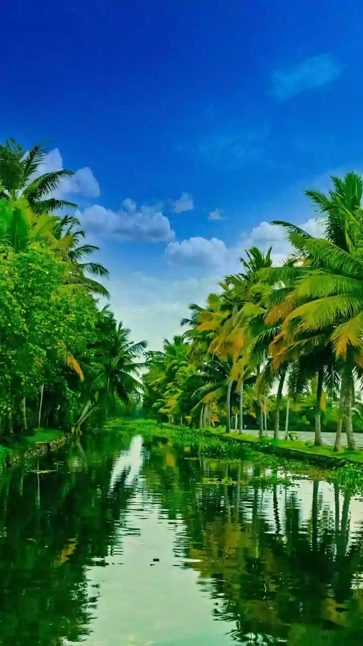 Why Assessing Natural Infrastructure In Kerala Safeguards Regional Water Resources Long-Term
