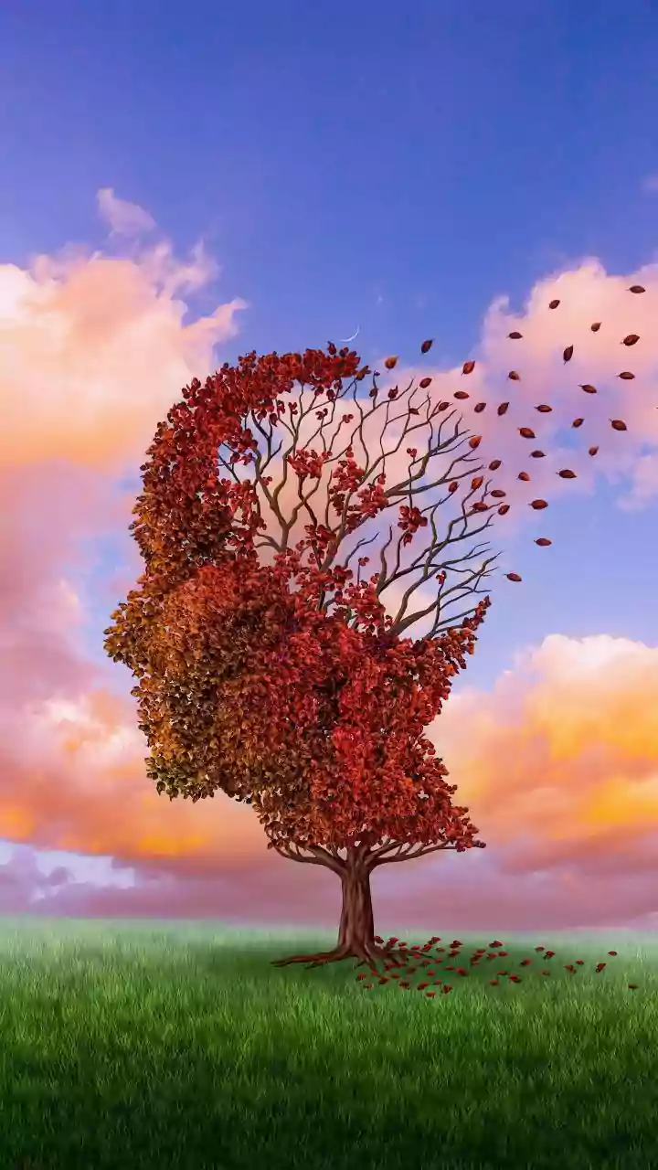 Mental Wellness: Navigating Challenges with Resilience