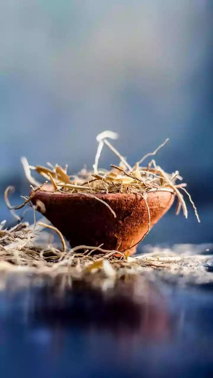 Bhogi Pongal 2026: Date, timings, rituals, and cultural significance