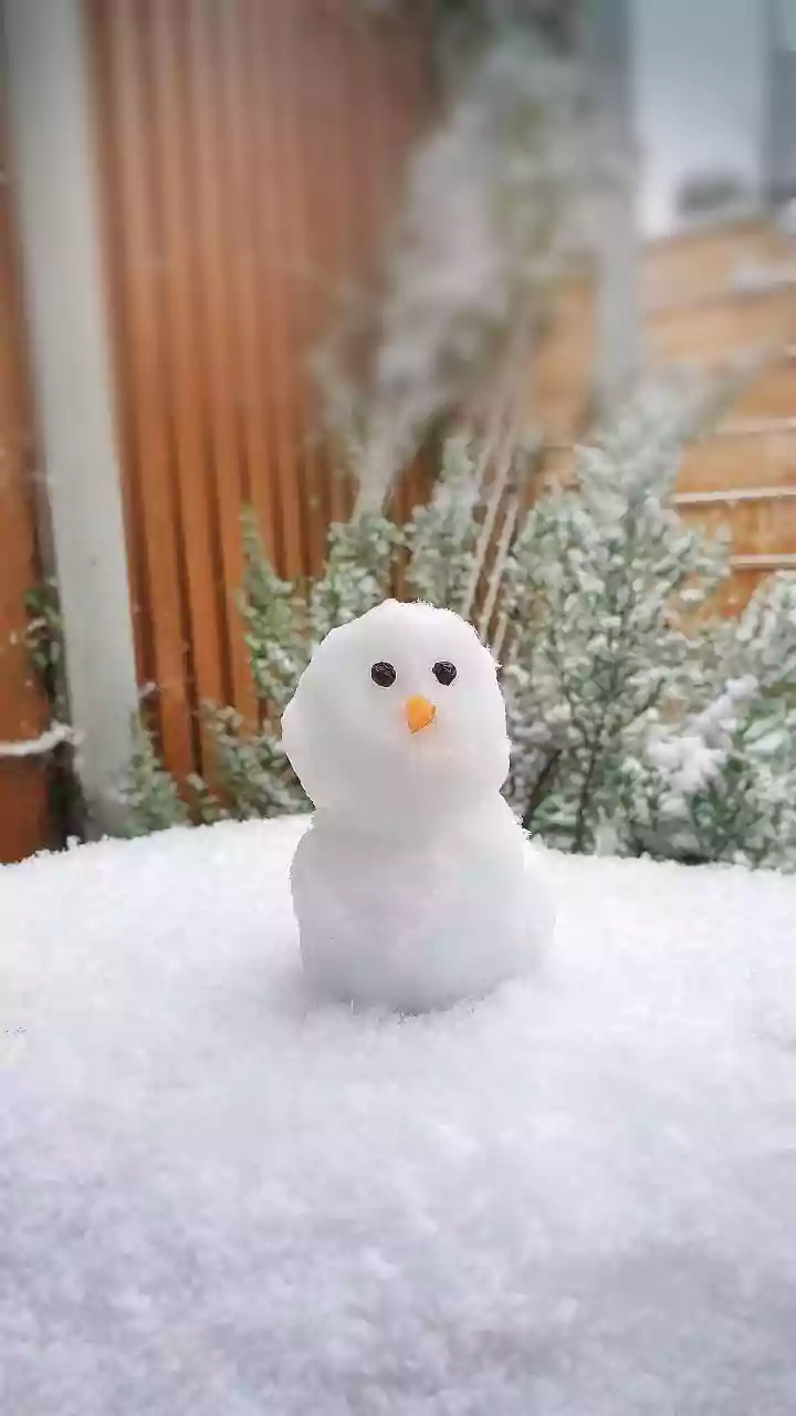 What Is Snowmanning? The Viral Winter Dating Trend That Experts Warn Against