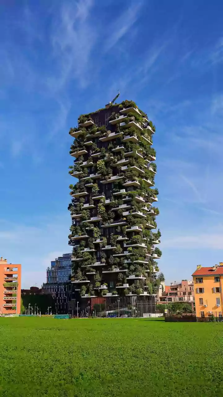 Low Frequency Sound Vibrations Keep Pests Away From Organic Urban Farms