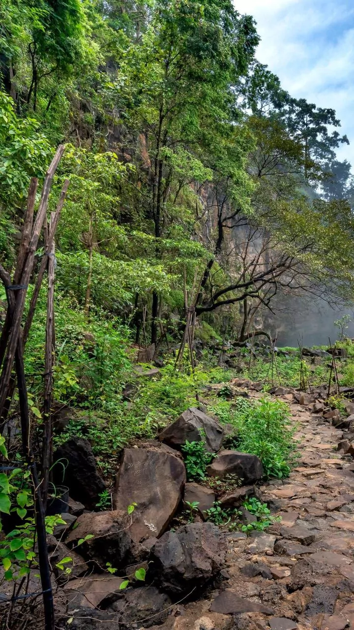 India's Hiking Havens: Top Destinations to Explore