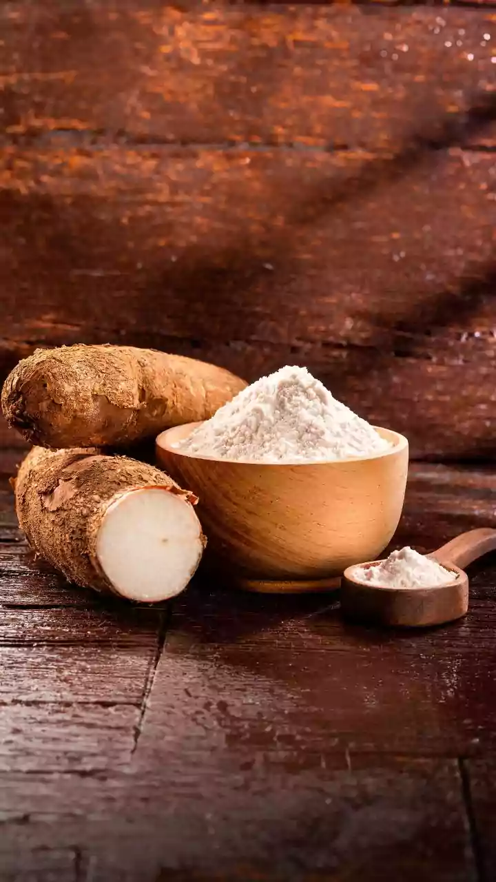 Riddhi Siddhi Gluco Biols to acquire Cargill India's Karnataka starch plant