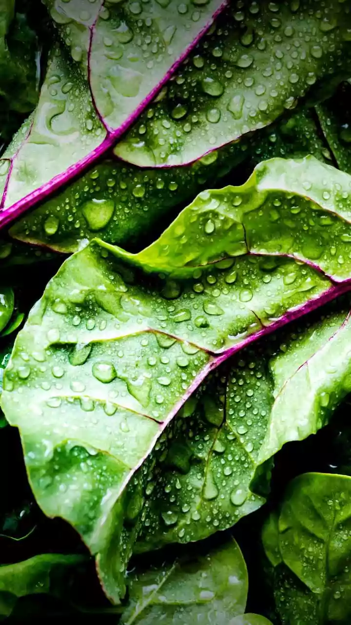 Monsoon Is The Best Time To Grow These Greens