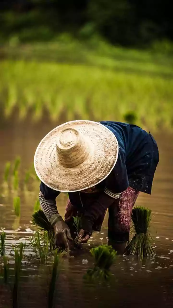 Assam BJP Chief Dilip Saikia Defends MGNREGA Recast, Says Focus On Stronger Rural Jobs, Not The Name | VIDEO