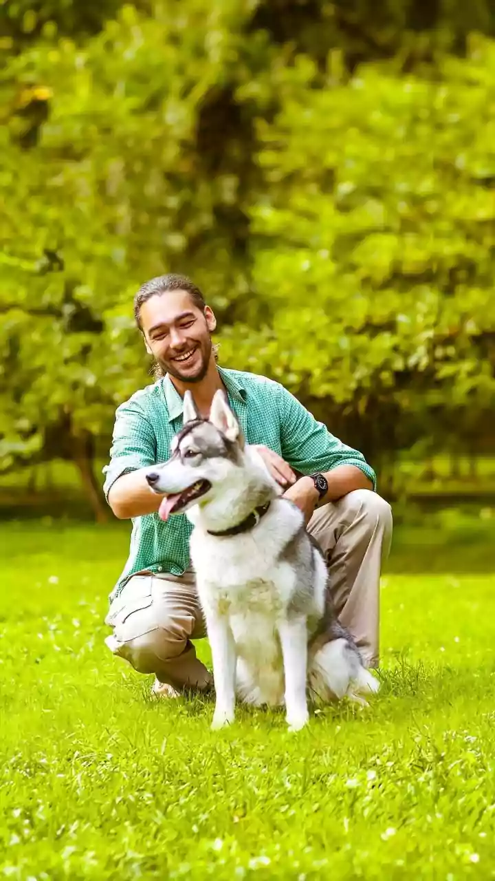 Indian Pet Parents Are Going Big On Quality