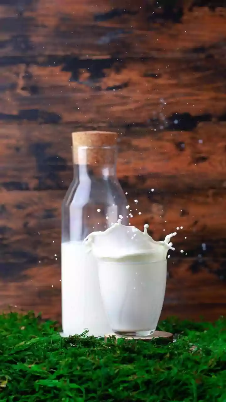 A Cautious Food Look at Limits of Low-Fat as an Automatic Shortcut Through the Latest Full-Fat Dairy Findings