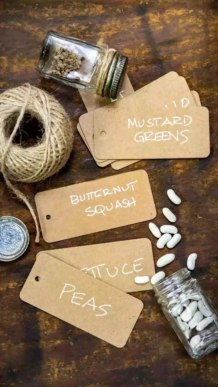 Decoding Food Labels: A Gastroenterologist's Guide