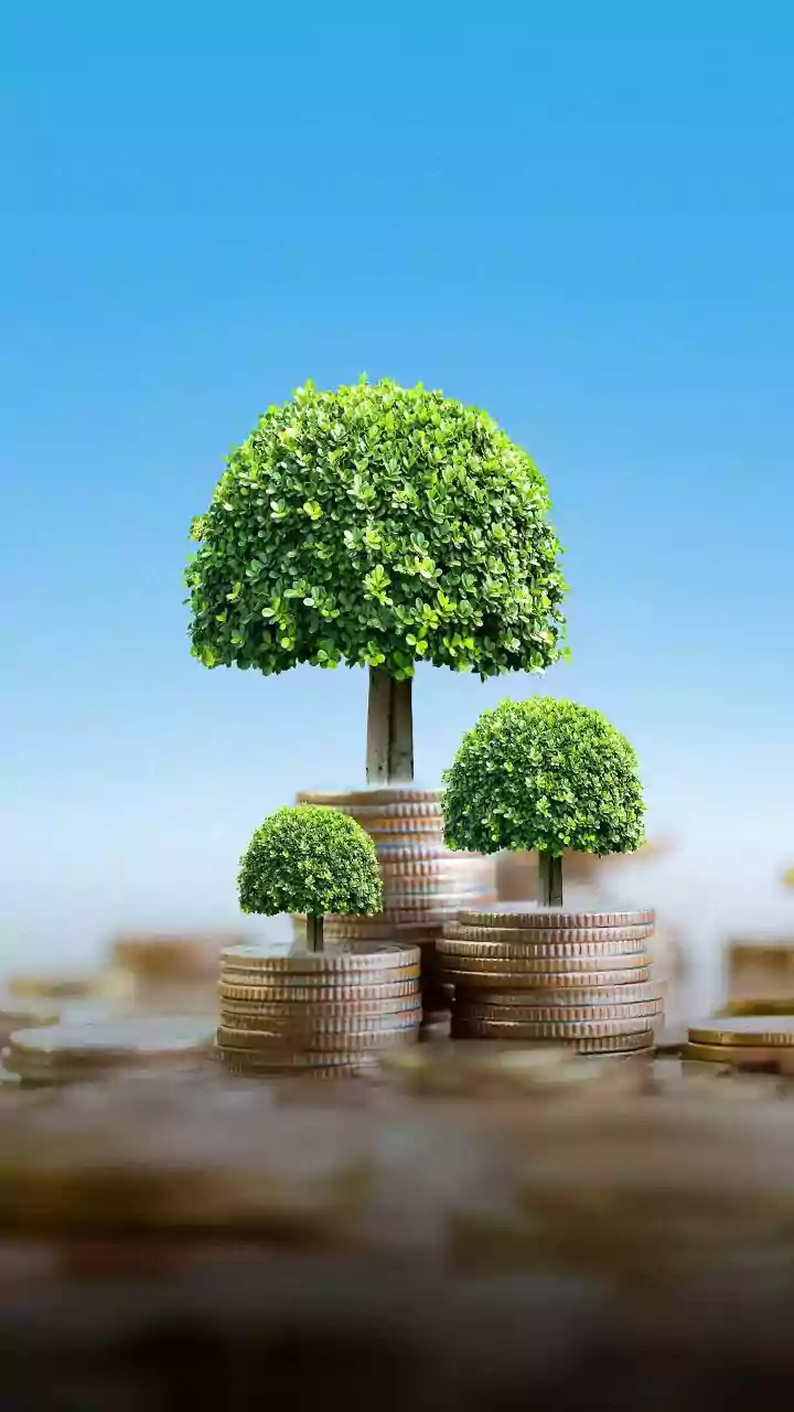 Lenskart IPO Opens For Subscription, ₹7,200 Crore Issue Creates Buzz – Should You Invest Or Wait?