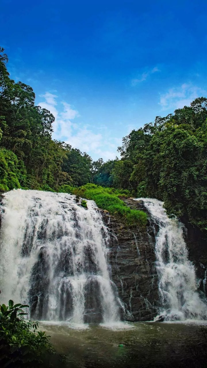 How To Enjoy A Safe Monsoon Retreat In Wayanad's Rainforest Homestays