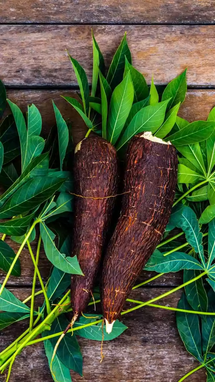Unlock Vibrant Health: The Amazing Benefits of African Arrowroot