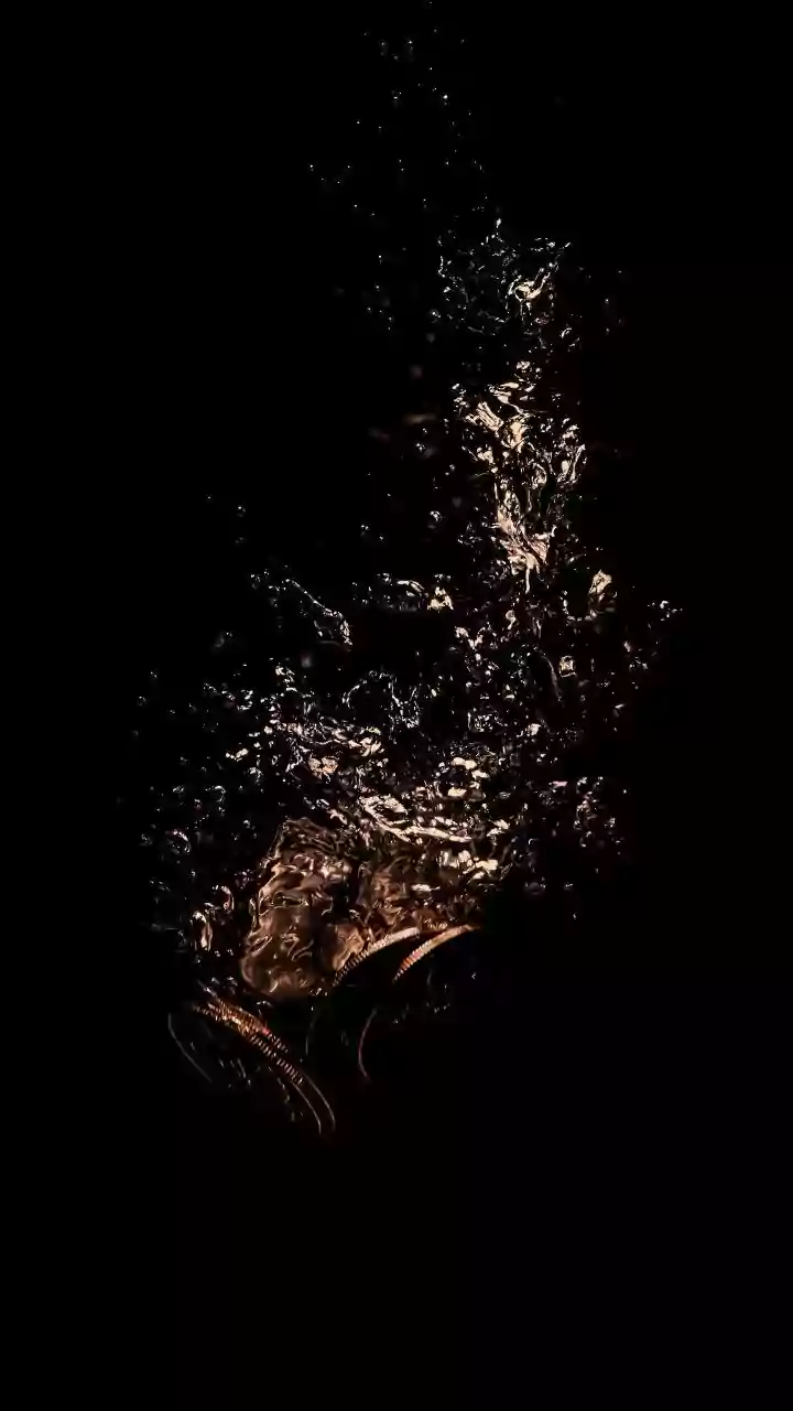 Brain Changes: Embracing Cognitive Flexibility