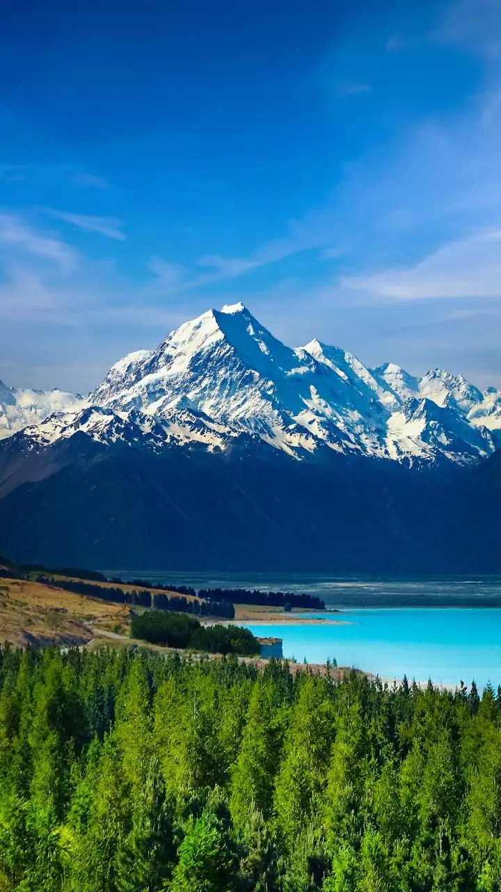 New Zealand approves MDMA for treating PTSD