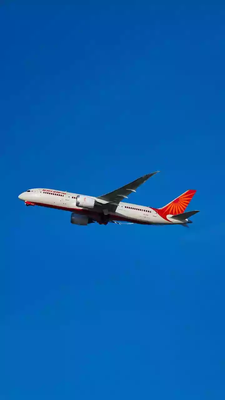 Delhi Airport Row Takes A Turn: Accused Air India Express Pilot Alleges 'Casteist Abuse' By Passenger