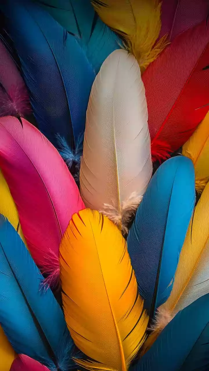 Lei multa em até R$ 50 mil uso de penas e plumas animais em São Paulo