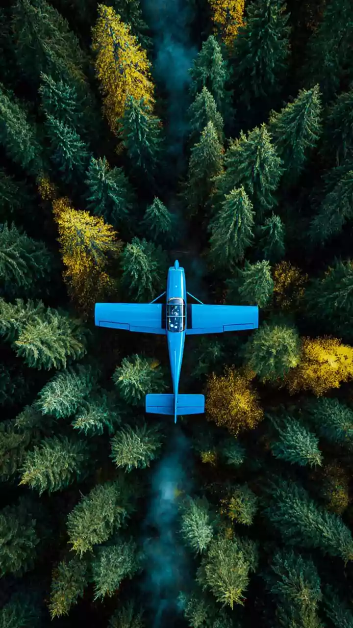 What Happens Inside A Cockpit When A Pilot Suddenly Cannot Continue Flying?