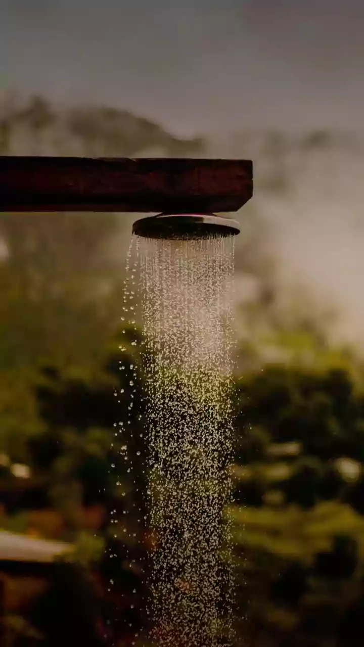 Unveiling the Allure of Hot Showers: What Science Says