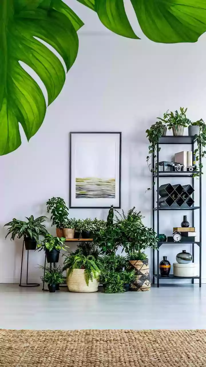 Magical Ledges: Transforming Your Indian Home