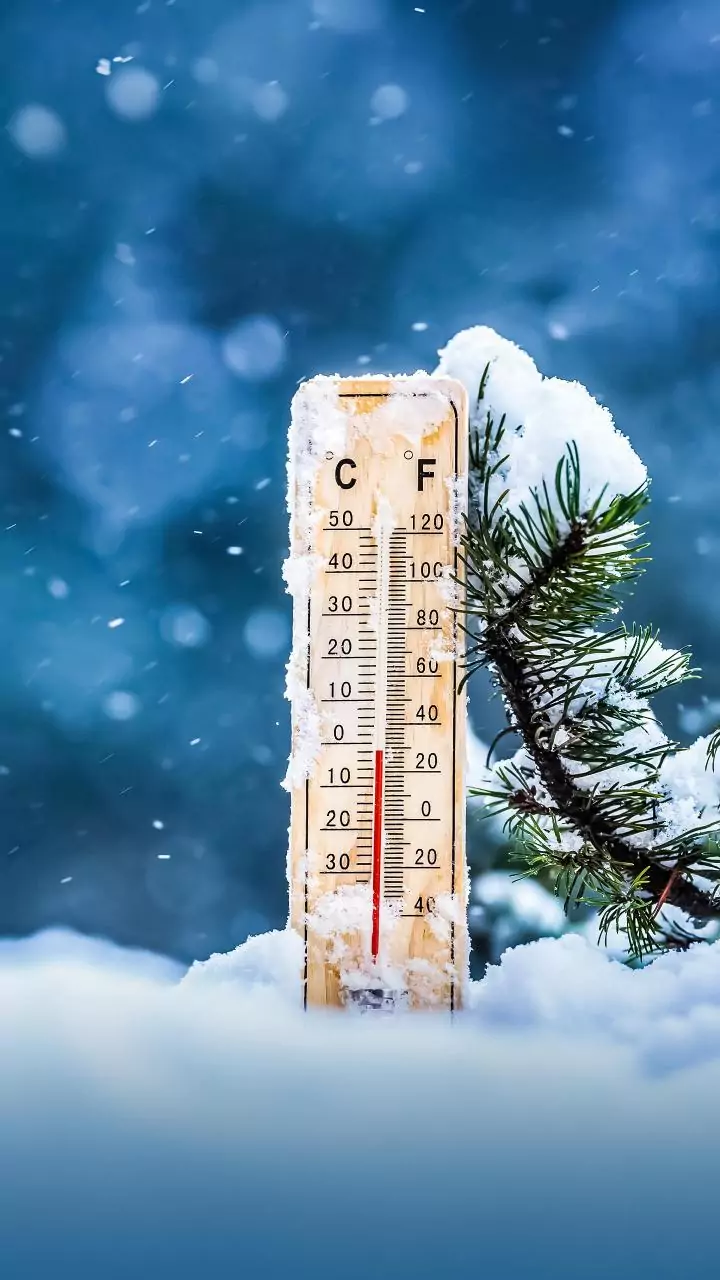 Cold wave grips Himachal; Tabo records minus 5.5 degrees, Kalpa sees snowfall