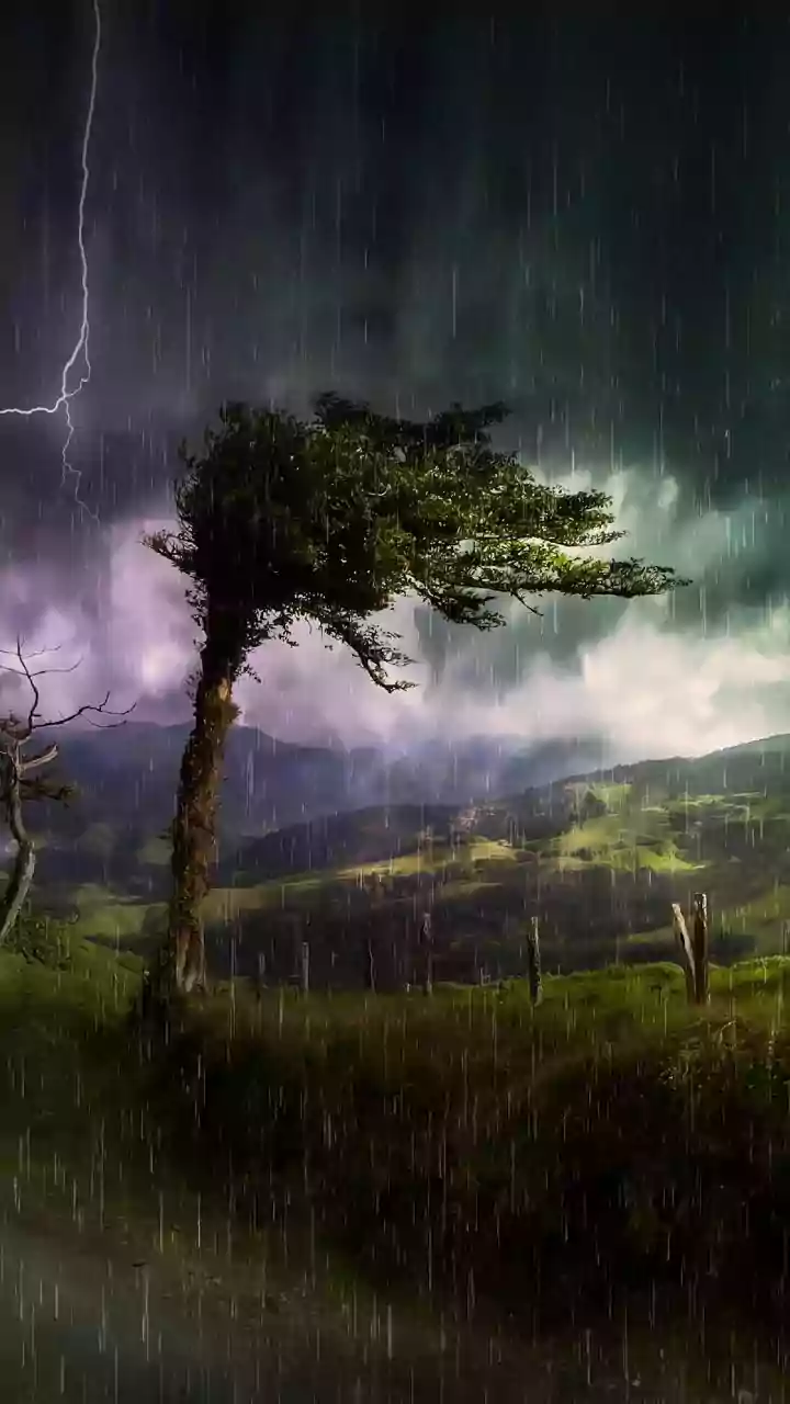 Odisha on Alert as Heavy Rain and Rising Rivers Trigger Flood Concerns
