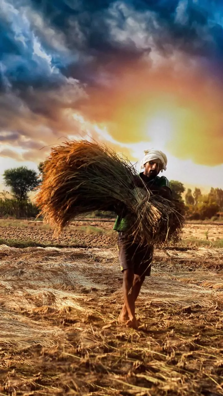 Govt to introduce stringent seed law in Budget session, says Agriculture Minister