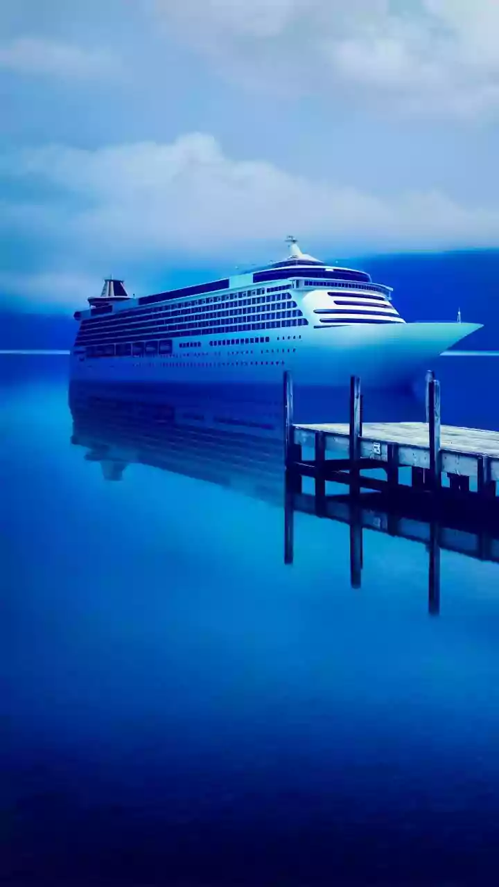 Hantavirus Outbreak: From Birdwatching to 'Patient Zero' on Expedition Cruise