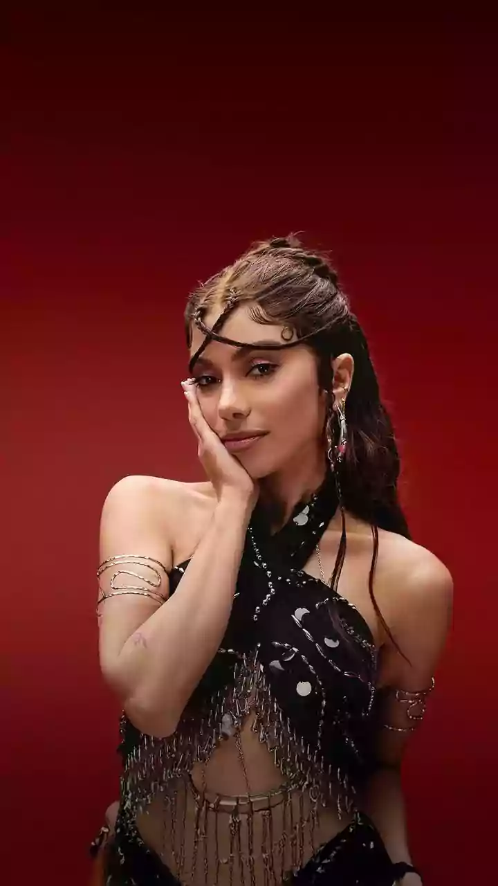 Regis Tadeu detona carreira internacional de Anitta: "Um fracasso"