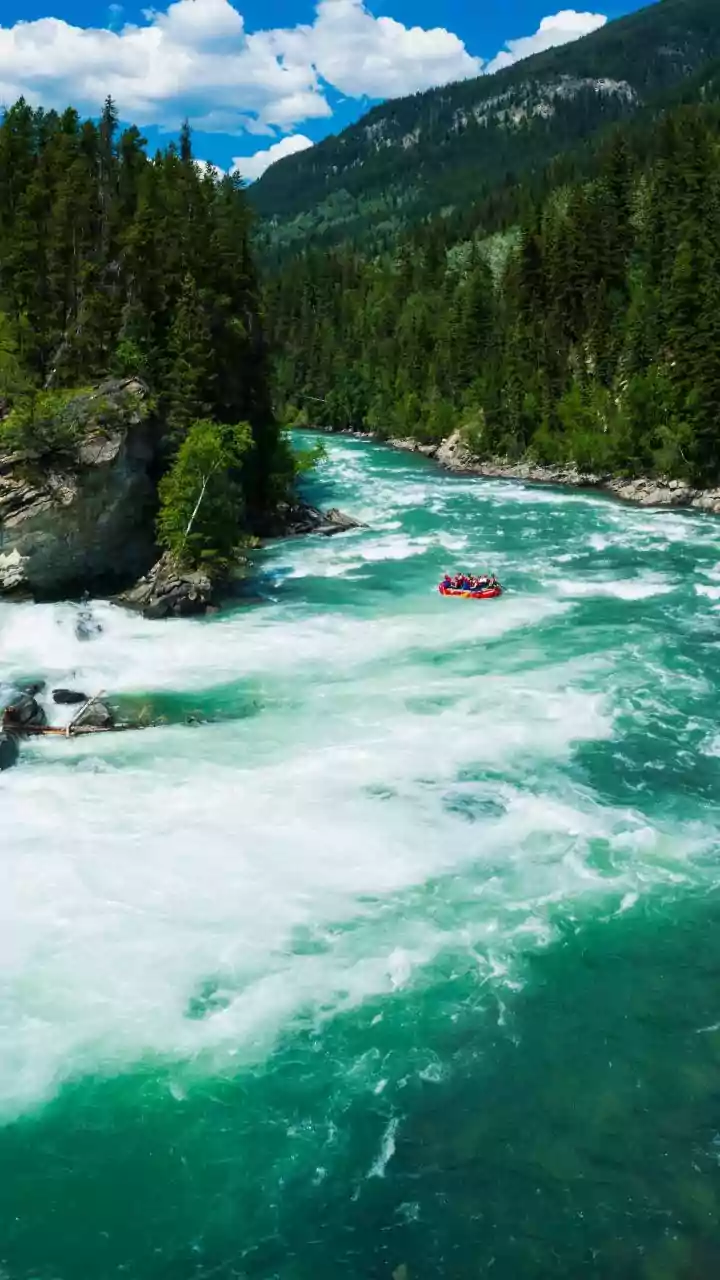 Unveiling the Whitewater Raft Guide Life: Skills, Challenges, and Ultimate Rewards