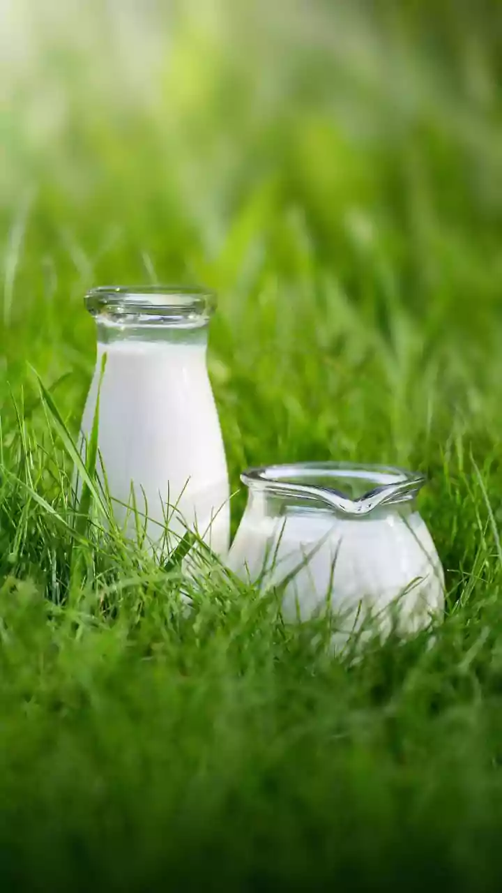 Why FSSAI Proposes Restricting The Paneer Name To Milk-Derived Products