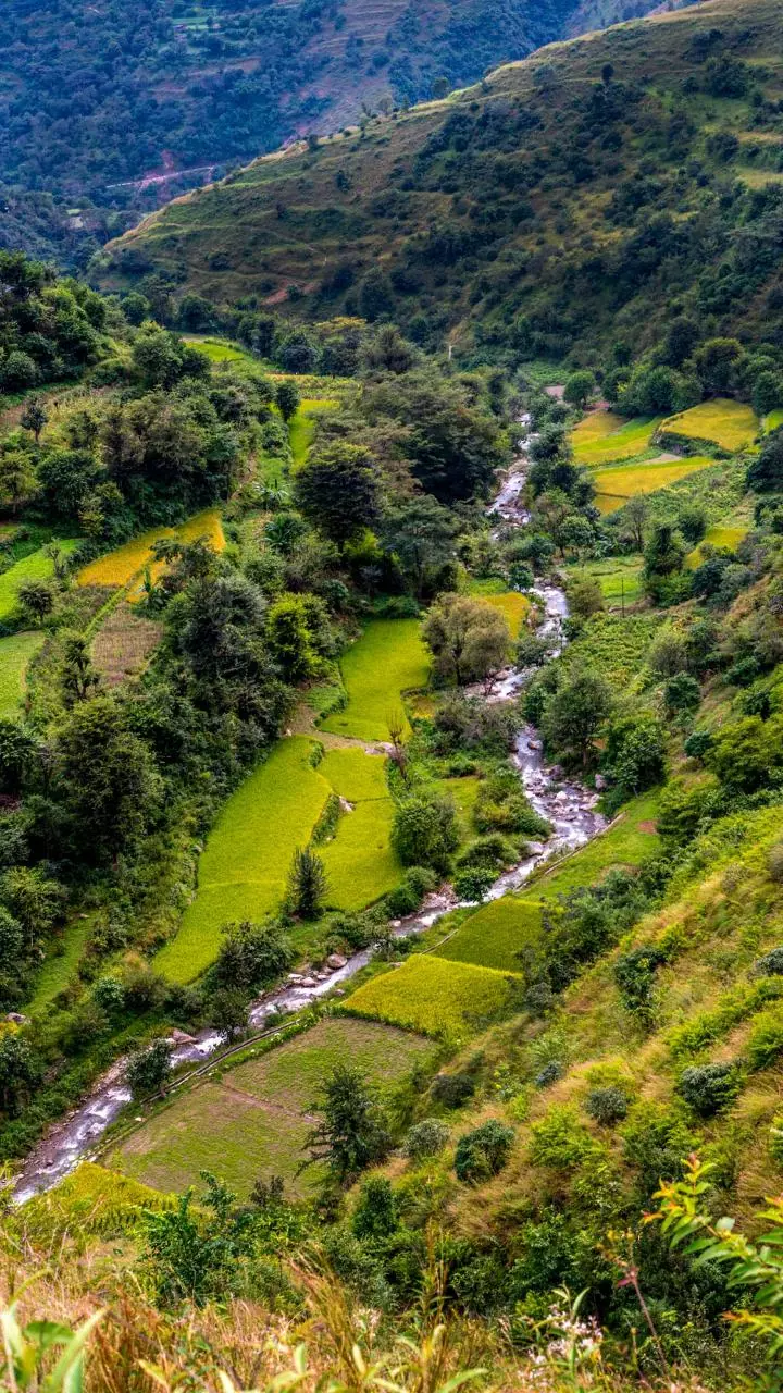 Arunachal: Cong flags Rs 130-crore land compensation scam, seeks probe