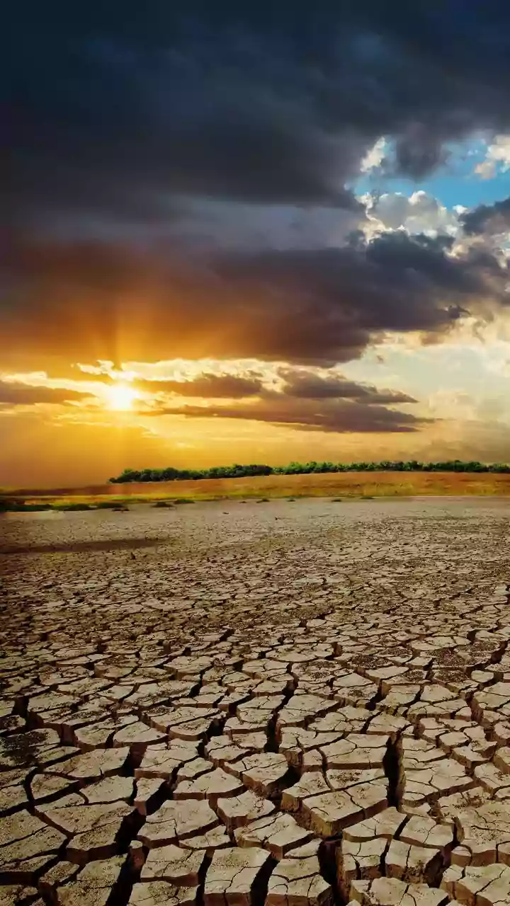 India Anticipates Below-Average Monsoon Rains in 2026 Due to El Niño